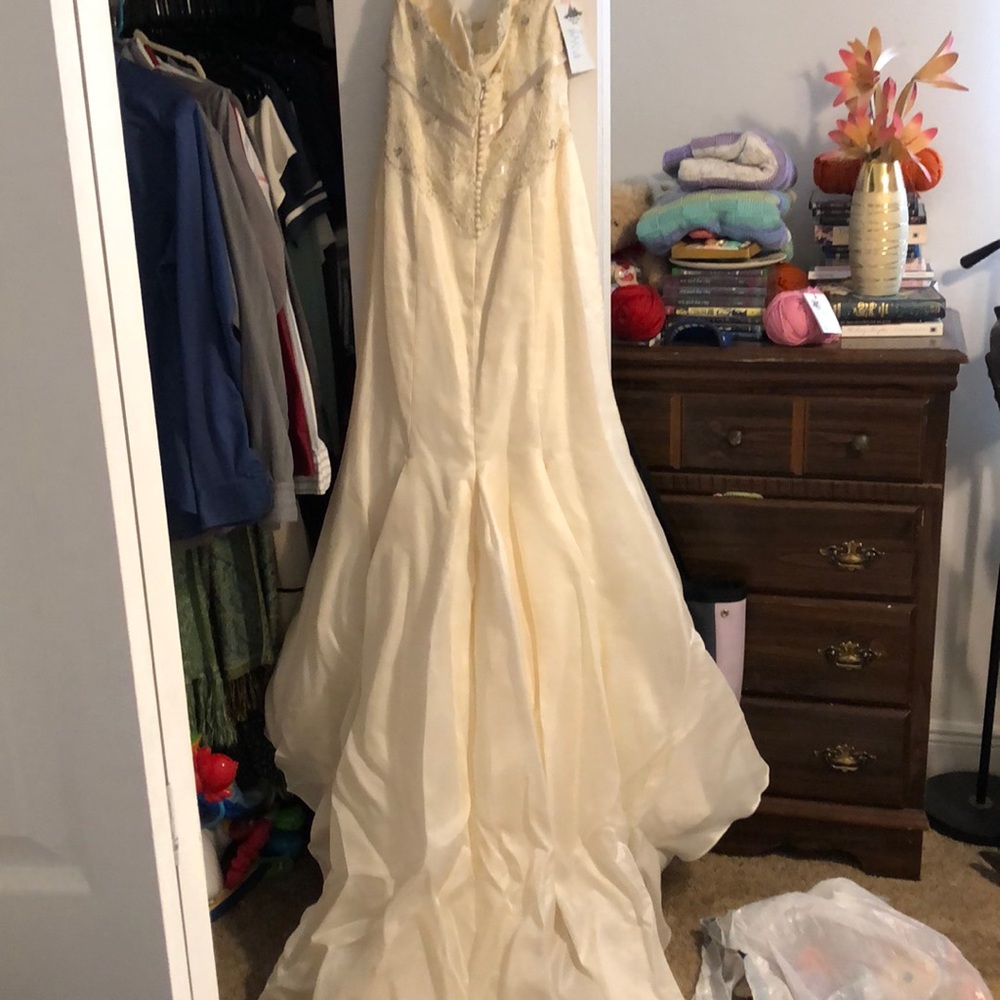 Wedding Dress - Picture 4 of 5